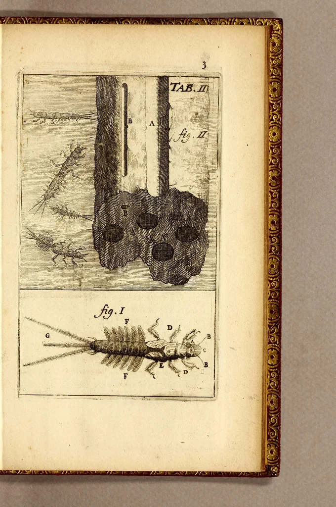 An illustration from Recueil de voyages, 1681, leaf 153