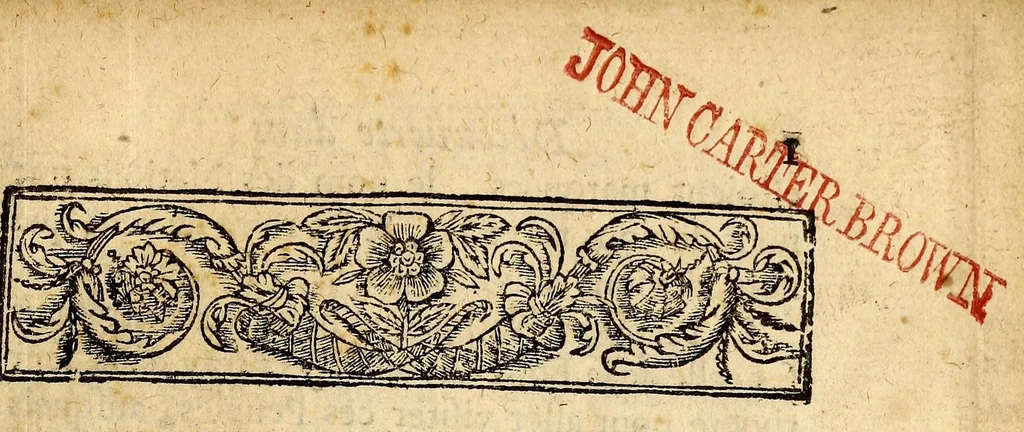 An illustration from Recueil de voyages, 1681, leaf 29