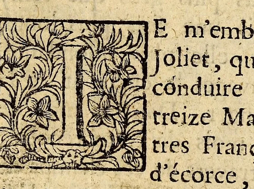 An illustration from Recueil de voyages, 1681, leaf 29