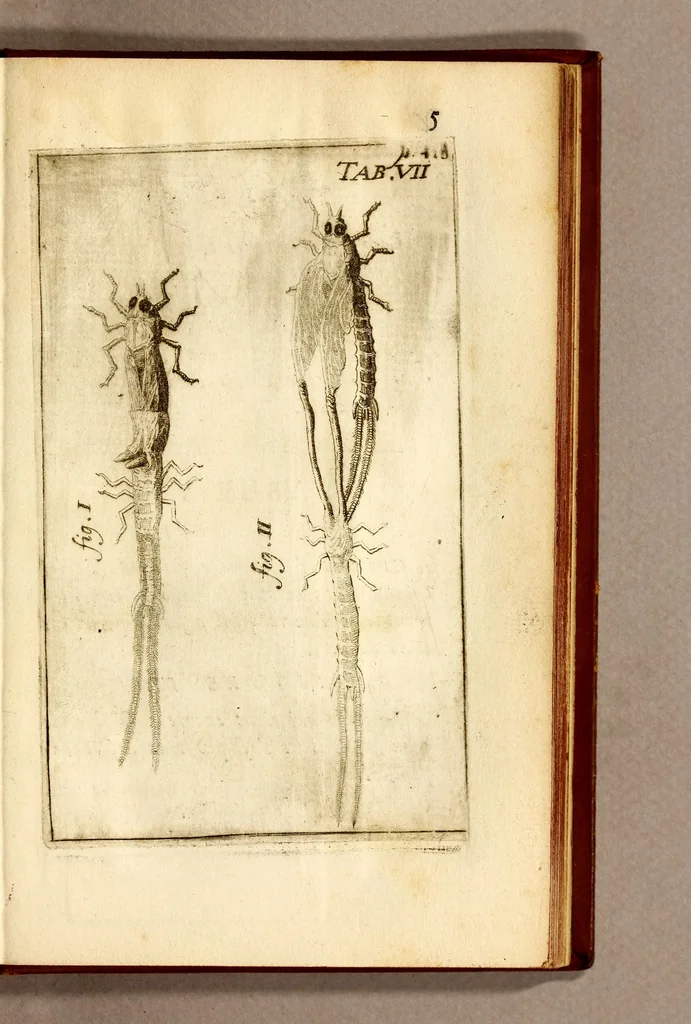 An illustration from Recueil de voyages, 1681, leaf 157