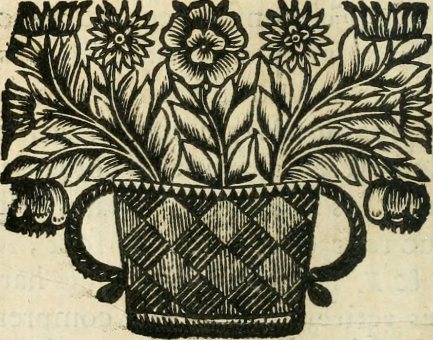 An illustration from Recueil d'ouvrages curieux de mathematique et de mecanique; ou, Description du cabinet de monsieur Grollier de Serviere, 1719, leaf 221