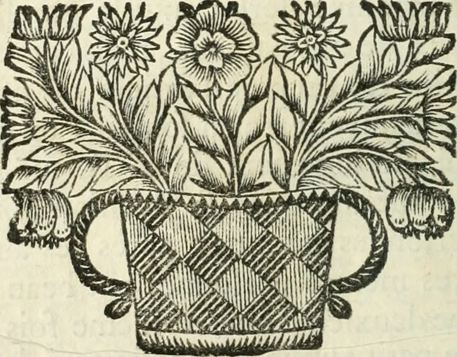 An illustration from Recueil d'ouvrages curieux de mathematique et de mecanique; ou, Description du cabinet de monsieur Grollier de Serviere, 1719, leaf 97
