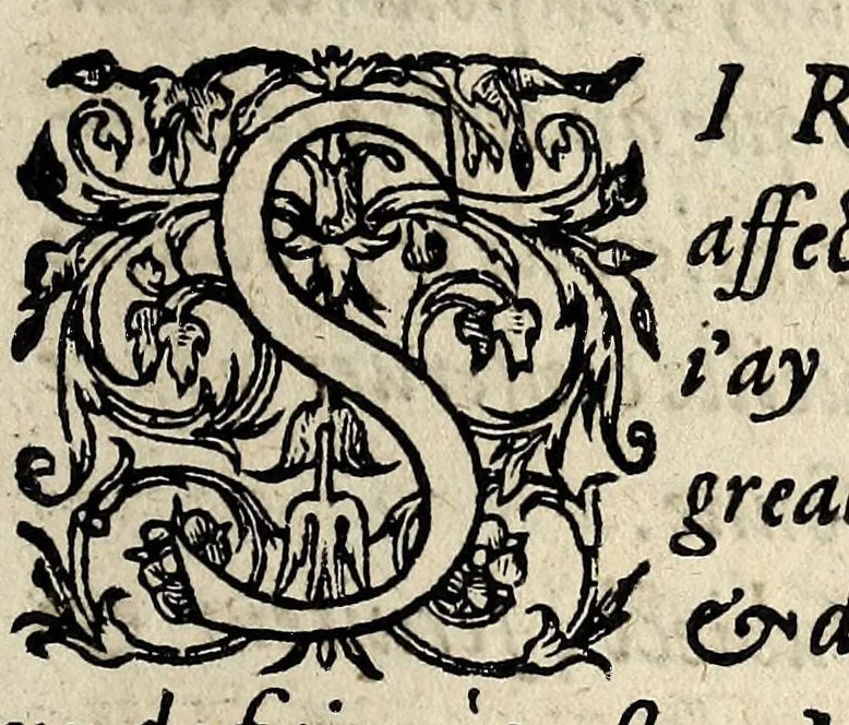 An illustration from Recueil et discours du voyage du roy Charles IX. de ce nom à present regnant, accompagné des choses dignes de memorie faictes en chacun endroit faisant sondit voyage en ses païs & prouinces de Champaigne, Bourgoigne ... & plusieurs autres lieux, suyuant son retour depuis son partement de Paris iusques à son retour audit lieu, és années mil cinq cens soixante quatre & soixante cinq., 1566, leaf 11