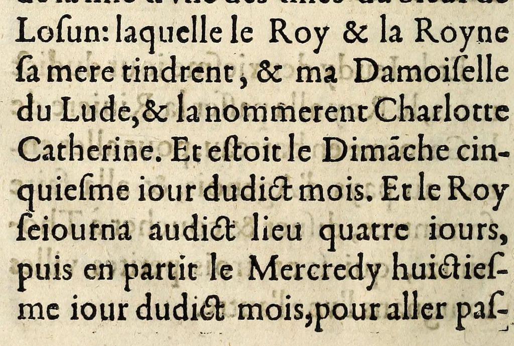 An illustration from Recueil et discours du voyage du roy Charles IX. de ce nom à present regnant, accompagné des choses dignes de memorie faictes en chacun endroit faisant sondit voyage en ses païs & prouinces de Champaigne, Bourgoigne ... & plusieurs autres lieux, suyuant son retour depuis son partement de Paris iusques à son retour audit lieu, és années mil cinq cens soixante quatre & soixante cinq., 1566, leaf 110