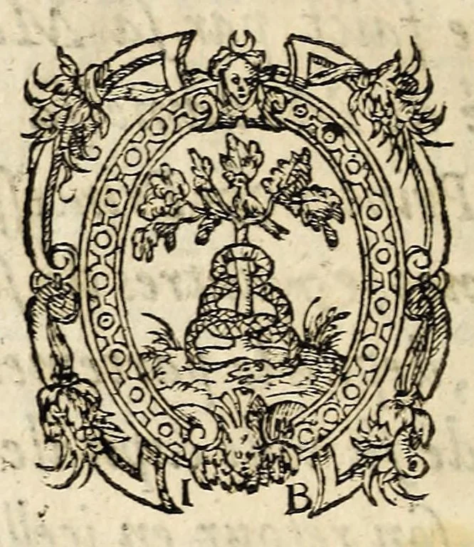 An illustration from Recueil et discours du voyage du roy Charles IX. de ce nom à present regnant, accompagné des choses dignes de memorie faictes en chacun endroit faisant sondit voyage en ses païs & prouinces de Champaigne, Bourgoigne ... & plusieurs autres lieux, suyuant son retour depuis son partement de Paris iusques à son retour audit lieu, és années mil cinq cens soixante quatre & soixante cinq., 1566, leaf 162