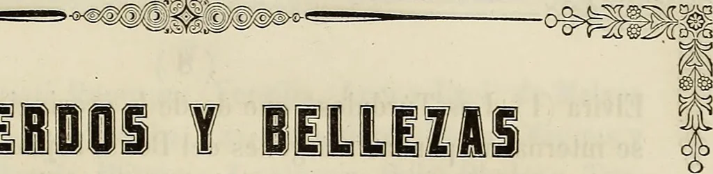 An illustration from Recuerdos y bellezas de España : bajo la real proteccion de ... la reina y el rey ; Obra destinada á dar á conocer sus monumentos y antiguedades en láminas dibujadas del natural y litografiadas por F.J. Parcerisa, 1850, leaf 20