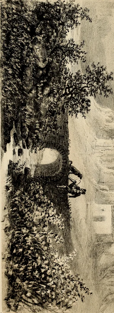 An illustration from Recuerdos y bellezas de España : bajo la real proteccion de ... la reina y el rey ; Obra destinada á dar á conocer sus monumentos y antiguedades en láminas dibujadas del natural y litografiadas por F.J. Parcerisa, 1850, leaf 375