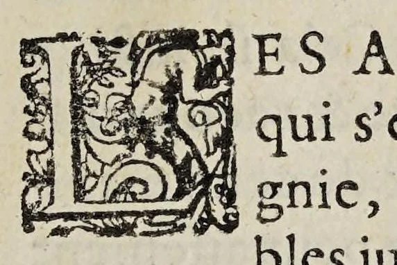 An illustration from Recveil d'avcvns poincts tovchez svr la verification des lettres patentes du Roy, en forme de declaration, sur l'Edict de l'an M.D.LXXVII., 1595, leaf 5