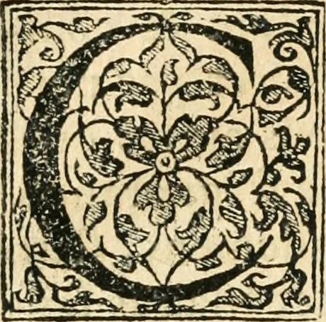 An illustration from Recveil des privilèges, avthoritez, povvoirs, franchises, & exemptions des preuost des marchands, escheuins, & habitans de la ville de Lyon. Auec les arrests de verification d'iceux, 1649, leaf 213