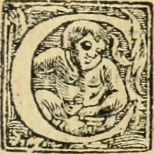 An illustration from Recveil des privilèges, avthoritez, povvoirs, franchises, & exemptions des preuost des marchands, escheuins, & habitans de la ville de Lyon. Auec les arrests de verification d'iceux, 1649, leaf 220