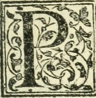 An illustration from Recveil des privilèges, avthoritez, povvoirs, franchises, & exemptions des preuost des marchands, escheuins, & habitans de la ville de Lyon. Auec les arrests de verification d'iceux, 1649, leaf 316
