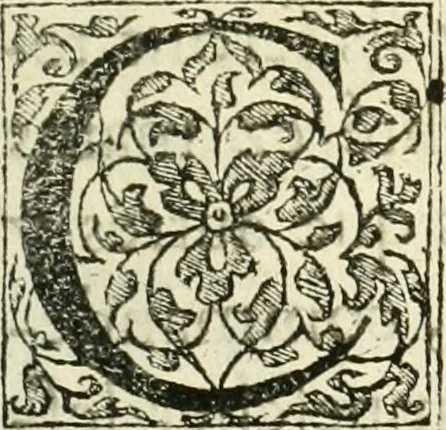 An illustration from Recveil des privilèges, avthoritez, povvoirs, franchises, & exemptions des preuost des marchands, escheuins, & habitans de la ville de Lyon. Auec les arrests de verification d'iceux, 1649, leaf 322