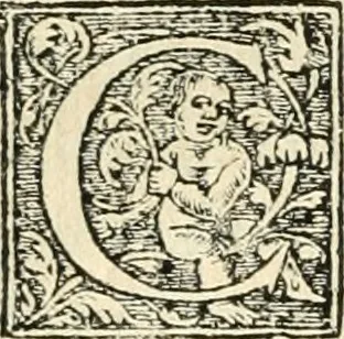 An illustration from Recveil des privilèges, avthoritez, povvoirs, franchises, & exemptions des preuost des marchands, escheuins, & habitans de la ville de Lyon. Auec les arrests de verification d'iceux, 1649, leaf 331