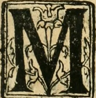 An illustration from Recveil des privilèges, avthoritez, povvoirs, franchises, & exemptions des preuost des marchands, escheuins, & habitans de la ville de Lyon. Auec les arrests de verification d'iceux, 1649, leaf 4