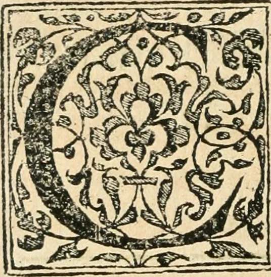 An illustration from Recveil des privilèges, avthoritez, povvoirs, franchises, & exemptions des preuost des marchands, escheuins, & habitans de la ville de Lyon. Auec les arrests de verification d'iceux, 1649, leaf 47