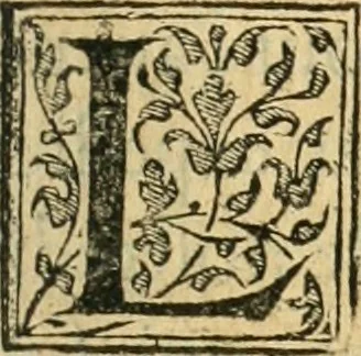 An illustration from Recveil des privilèges, avthoritez, povvoirs, franchises, & exemptions des preuost des marchands, escheuins, & habitans de la ville de Lyon. Auec les arrests de verification d'iceux, 1649, leaf 494