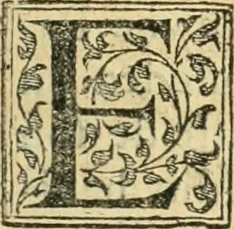 An illustration from Recveil des privilèges, avthoritez, povvoirs, franchises, & exemptions des preuost des marchands, escheuins, & habitans de la ville de Lyon. Auec les arrests de verification d'iceux, 1649, leaf 546