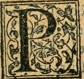 An illustration from Recveil des privilèges, avthoritez, povvoirs, franchises, & exemptions des preuost des marchands, escheuins, & habitans de la ville de Lyon. Auec les arrests de verification d'iceux, 1649, leaf 588