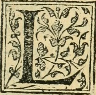 An illustration from Recveil des privilèges, avthoritez, povvoirs, franchises, & exemptions des preuost des marchands, escheuins, & habitans de la ville de Lyon. Auec les arrests de verification d'iceux, 1649, leaf 592