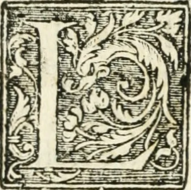 An illustration from Recveil des privilèges, avthoritez, povvoirs, franchises, & exemptions des preuost des marchands, escheuins, & habitans de la ville de Lyon. Auec les arrests de verification d'iceux, 1649, leaf 625