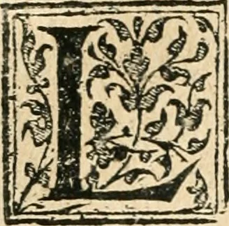 An illustration from Recveil des privilèges, avthoritez, povvoirs, franchises, & exemptions des preuost des marchands, escheuins, & habitans de la ville de Lyon. Auec les arrests de verification d'iceux, 1649, leaf 65