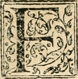 An illustration from Recveil des privilèges, avthoritez, povvoirs, franchises, & exemptions des preuost des marchands, escheuins, & habitans de la ville de Lyon. Auec les arrests de verification d'iceux, 1649, leaf 67