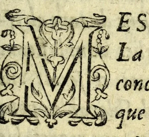 An illustration from Recveil general des oevvres et fantaisies de Tabarin : divisé en deux parties : contenant ses rencontres, questions & demandes facetieuses, auec leurs responses, 1623, leaf 181