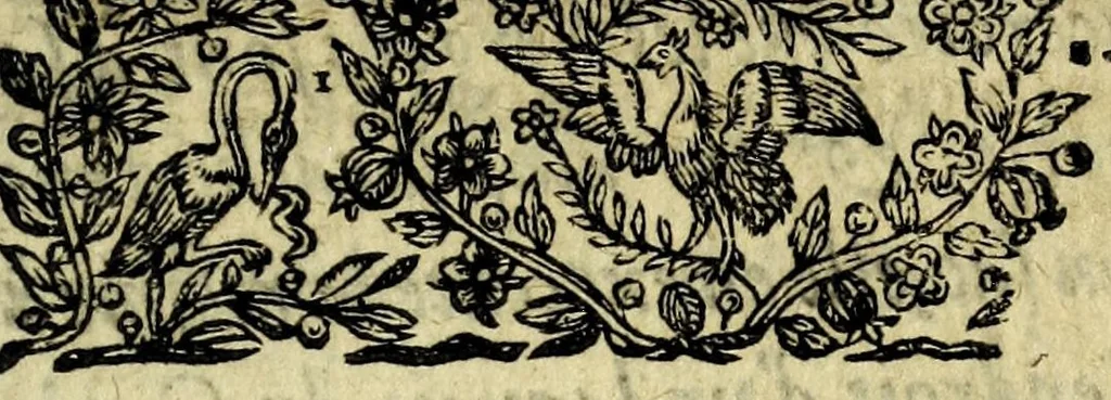 An illustration from Recveil general des oevvres et fantaisies de Tabarin : divisé en deux parties : contenant ses rencontres, questions & demandes facetieuses, auec leurs responses, 1623, leaf 333