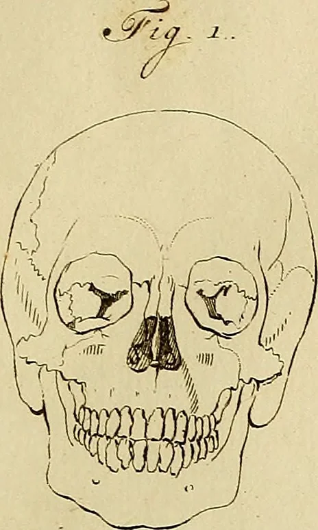 An illustration from Redenvoeringen van wylen Petrus Camper, over de wyze, om de onderscheidene hartstogten op onze wezens te verbeelden : over de verbaazende overeenkomst tusschen de viervoetige dieren, de vogelen, de visschen en den mensch, en over het gedaante schoon : gehouden in de Teken Academie te Amsterdam, 1792, leaf 116