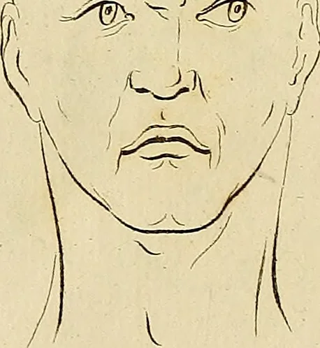 An illustration from Redenvoeringen van wylen Petrus Camper, over de wyze, om de onderscheidene hartstogten op onze wezens te verbeelden : over de verbaazende overeenkomst tusschen de viervoetige dieren, de vogelen, de visschen en den mensch, en over het gedaante schoon : gehouden in de Teken Academie te Amsterdam, 1792, leaf 116