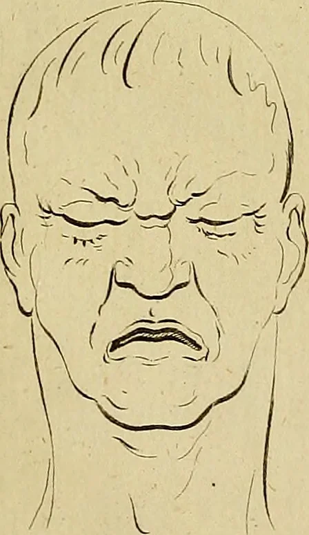 An illustration from Redenvoeringen van wylen Petrus Camper, over de wyze, om de onderscheidene hartstogten op onze wezens te verbeelden : over de verbaazende overeenkomst tusschen de viervoetige dieren, de vogelen, de visschen en den mensch, en over het gedaante schoon : gehouden in de Teken Academie te Amsterdam, 1792, leaf 118