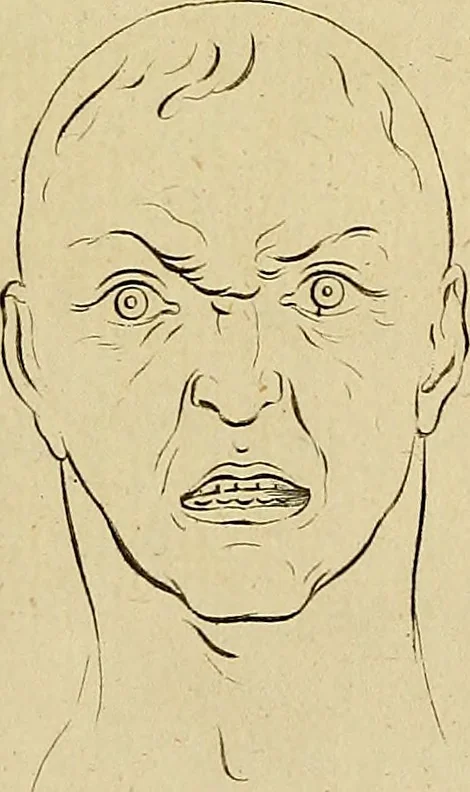 An illustration from Redenvoeringen van wylen Petrus Camper, over de wyze, om de onderscheidene hartstogten op onze wezens te verbeelden : over de verbaazende overeenkomst tusschen de viervoetige dieren, de vogelen, de visschen en den mensch, en over het gedaante schoon : gehouden in de Teken Academie te Amsterdam, 1792, leaf 118