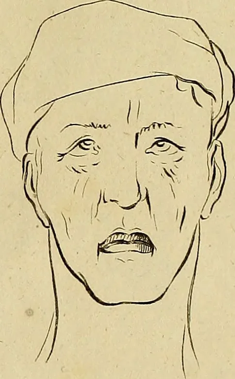 An illustration from Redenvoeringen van wylen Petrus Camper, over de wyze, om de onderscheidene hartstogten op onze wezens te verbeelden : over de verbaazende overeenkomst tusschen de viervoetige dieren, de vogelen, de visschen en den mensch, en over het gedaante schoon : gehouden in de Teken Academie te Amsterdam, 1792, leaf 118