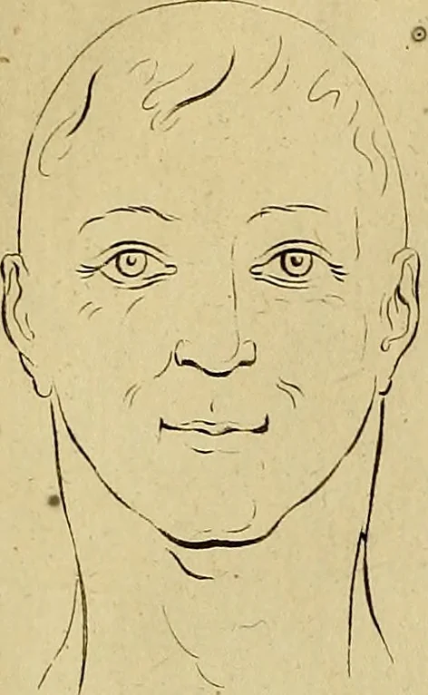 An illustration from Redenvoeringen van wylen Petrus Camper, over de wyze, om de onderscheidene hartstogten op onze wezens te verbeelden : over de verbaazende overeenkomst tusschen de viervoetige dieren, de vogelen, de visschen en den mensch, en over het gedaante schoon : gehouden in de Teken Academie te Amsterdam, 1792, leaf 118