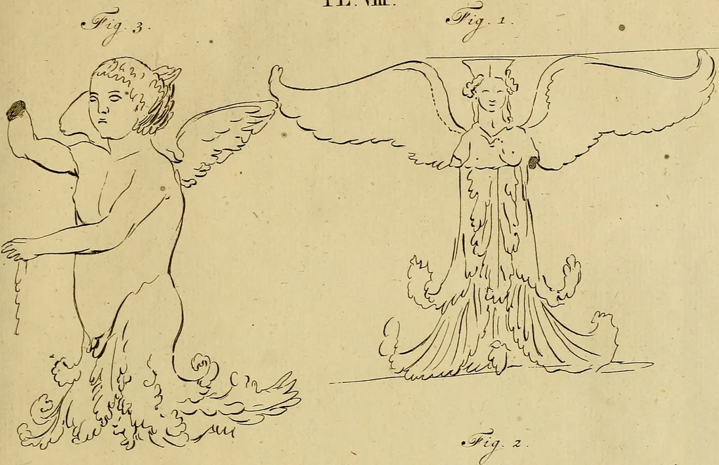 An illustration from Redenvoeringen van wylen Petrus Camper, over de wyze, om de onderscheidene hartstogten op onze wezens te verbeelden : over de verbaazende overeenkomst tusschen de viervoetige dieren, de vogelen, de visschen en den mensch, en over het gedaante schoon : gehouden in de Teken Academie te Amsterdam, 1792, leaf 130