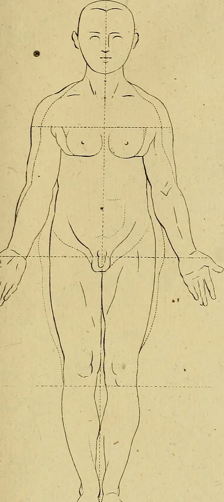An illustration from Redenvoeringen van wylen Petrus Camper, over de wyze, om de onderscheidene hartstogten op onze wezens te verbeelden : over de verbaazende overeenkomst tusschen de viervoetige dieren, de vogelen, de visschen en den mensch, en over het gedaante schoon : gehouden in de Teken Academie te Amsterdam, 1792, leaf 132