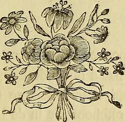 An illustration from Redenvoeringen van wylen Petrus Camper, over de wyze, om de onderscheidene hartstogten op onze wezens te verbeelden : over de verbaazende overeenkomst tusschen de viervoetige dieren, de vogelen, de visschen en den mensch, en over het gedaante schoon : gehouden in de Teken Academie te Amsterdam, 1792, leaf 54