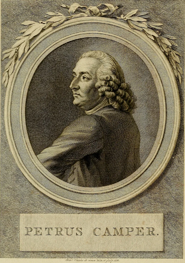An illustration from Redenvoeringen van wylen Petrus Camper, over de wyze, om de onderscheidene hartstogten op onze wezens te verbeelden : over de verbaazende overeenkomst tusschen de viervoetige dieren, de vogelen, de visschen en den mensch, en over het gedaante schoon : gehouden in de Teken Academie te Amsterdam, 1792, leaf 7