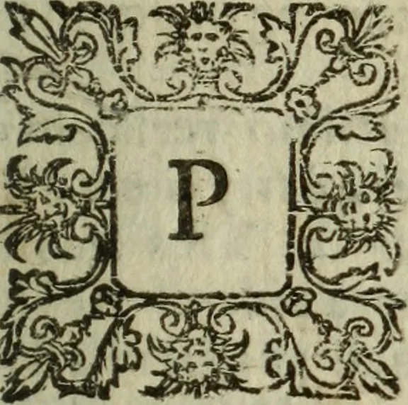 An illustration from Reduccion, y restituycion del reyno de Portugal a la serenissima casa de BraganÃ§a en la real persona de D. Iuan IV, rey de dicho reyno, con las razones, y causa de la confederacion, que celebrÃ² con el rey christianissimo, y otros principes : discurso moral, y politico, 1648, leaf 144