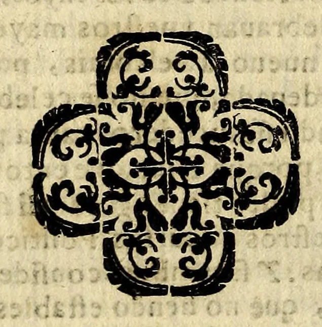 An illustration from Reduccion, y restituycion del reyno de Portugal a la serenissima casa de Bragança en la real persona de D. Iuan. IV. rey de dicho reyno, : con las razones, y causa de la confederacion, que celebrò con el rey Christianissimo, y otros principes. Discurso moral, y politico., 1648, leaf 134
