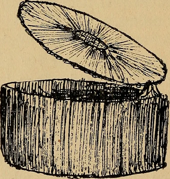 An illustration from Reed and raffia construction work in primary schools; a practical manual especially for primary-kindergarten teachers .., 1904, leaf 11