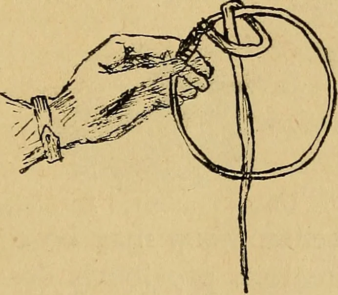 An illustration from Reed and raffia construction work in primary schools; a practical manual especially for primary-kindergarten teachers .., 1904, leaf 12