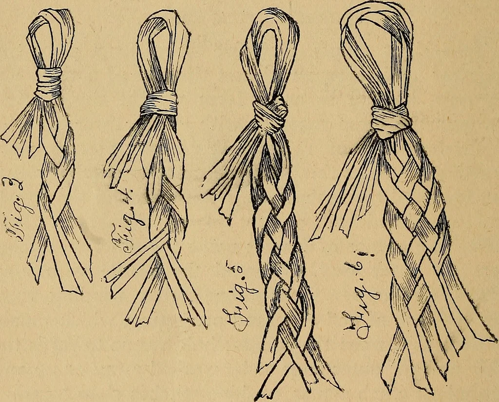 An illustration from Reed and raffia construction work in primary schools; a practical manual especially for primary-kindergarten teachers .., 1904, leaf 15