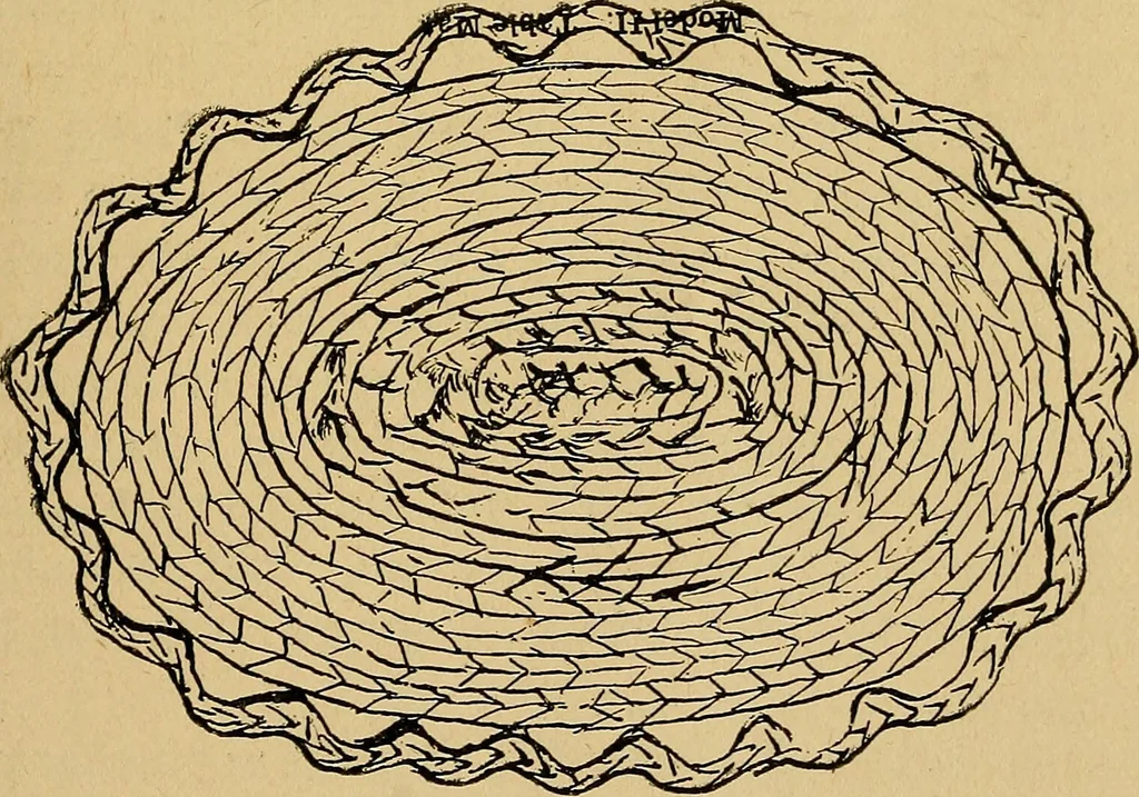 An illustration from Reed and raffia construction work in primary schools; a practical manual especially for primary-kindergarten teachers .., 1904, leaf 16