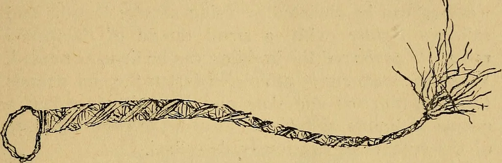 An illustration from Reed and raffia construction work in primary schools; a practical manual especially for primary-kindergarten teachers .., 1904, leaf 18
