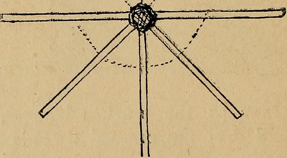 An illustration from Reed and raffia construction work in primary schools; a practical manual especially for primary-kindergarten teachers .., 1904, leaf 23