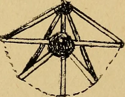 An illustration from Reed and raffia construction work in primary schools; a practical manual especially for primary-kindergarten teachers .., 1904, leaf 24