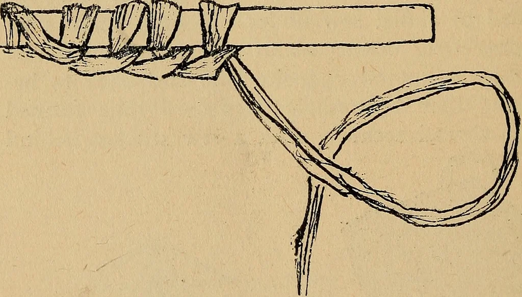 An illustration from Reed and raffia construction work in primary schools; a practical manual especially for primary-kindergarten teachers .., 1904, leaf 25