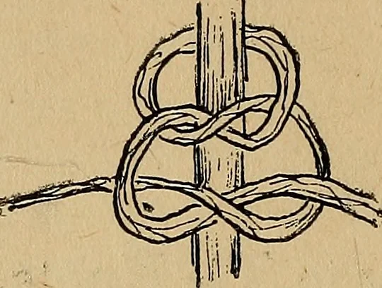 An illustration from Reed and raffia construction work in primary schools; a practical manual especially for primary-kindergarten teachers .., 1904, leaf 29