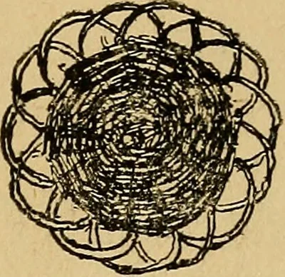 An illustration from Reed and raffia construction work in primary schools; a practical manual especially for primary-kindergarten teachers .., 1904, leaf 36